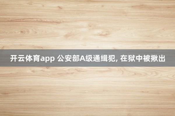 开云体育app 公安部A级通缉犯, 在狱中被揪出