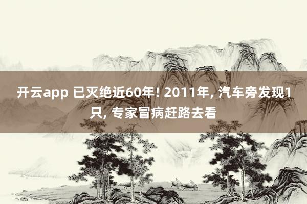 开云app 已灭绝近60年! 2011年， 汽车旁发现1只， 专家冒病赶路去看