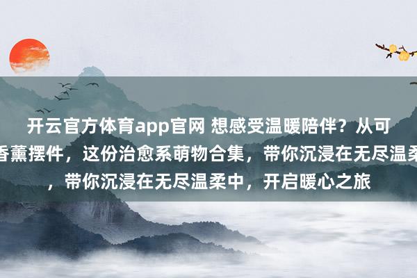 开云官方体育app官网 想感受温暖陪伴？从可爱毛绒玩具到精致香薰摆件，这份治愈系萌物合集，带你沉浸在无尽温柔中，开启暖心之旅