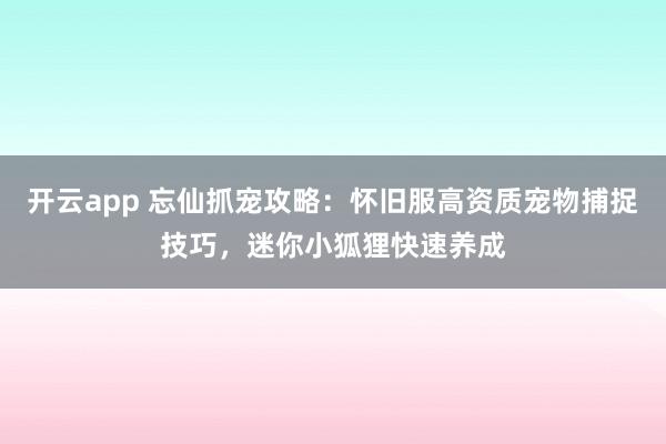 开云app 忘仙抓宠攻略：怀旧服高资质宠物捕捉技巧，迷你小狐狸快速养成