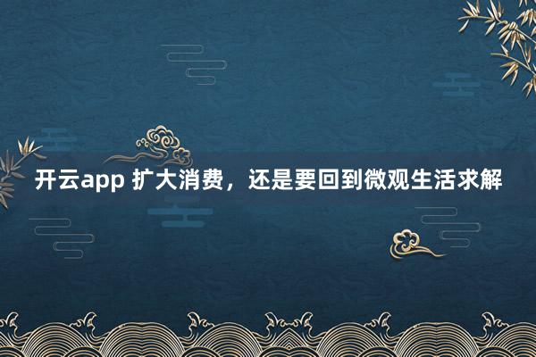 开云app 扩大消费，还是要回到微观生活求解